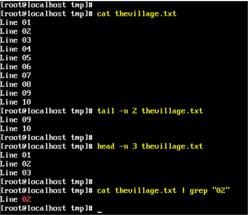 在Linux bash shell中读取文本文件：简单方法与示例 - 小浪云数据