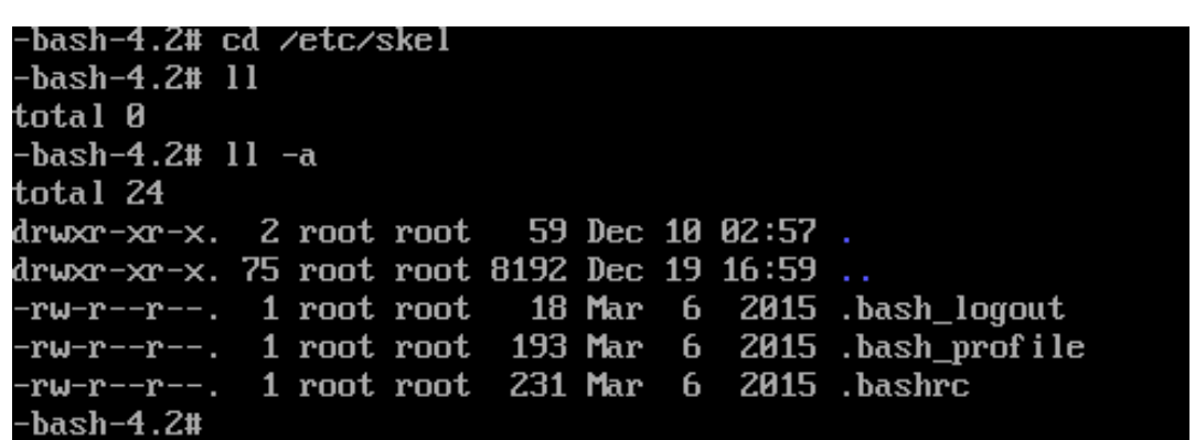 CentOS系统登录后发现提示符显示-bash-4.2#